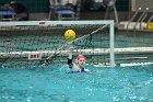 WWPolo vs CC  Wheaton College Women’s Water Polo compete in their sports inaugural match vs Connecticut College. - Photo By: KEITH NORDSTROM : Wheaton, water polo, inaugural